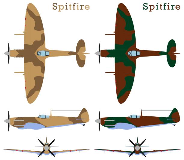 Supermarine Spitfire aircraft WWII and camouflages. Vector art. drawing of fighter planes stock illustrations
