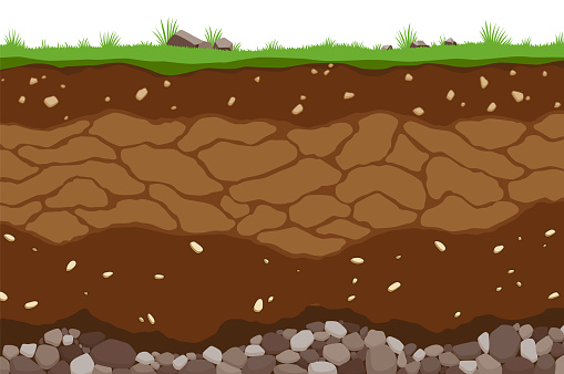 Surface horizons of soil layers. Earth structure with a mixture of organic matter and stones. Flat cartoon paleontological background. Illustrative geology