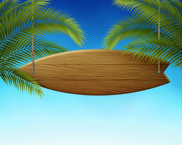 stockillustraties, clipart, cartoons en iconen met surfplank teken in palm bladeren - plankje plant touw