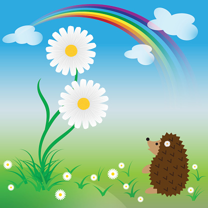 Surprised hedgehog looks at a big daisy in springtime