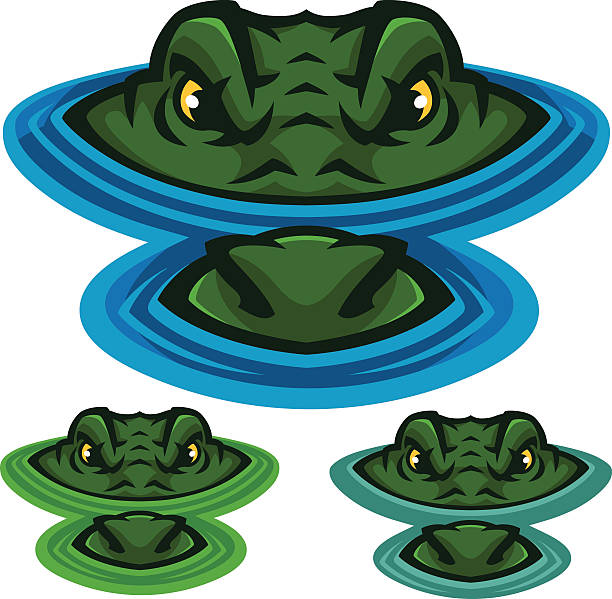 Swamp Alligator This alligator or crocodile is lurking through the swampy water. This image was created as all separate elements for easy customization and design. A great addition to any school or sport based design. alligator stock illustrations