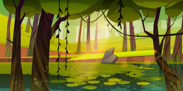 Swamp or lake with water lilies in forest, nature Swamp or lake with water lilies in forest. Nature landscape with marsh in deep wood. Computer game background, fantasy mystic scenery view with wild pond covered with ooze, Cartoon vector illustration moss stock illustrations