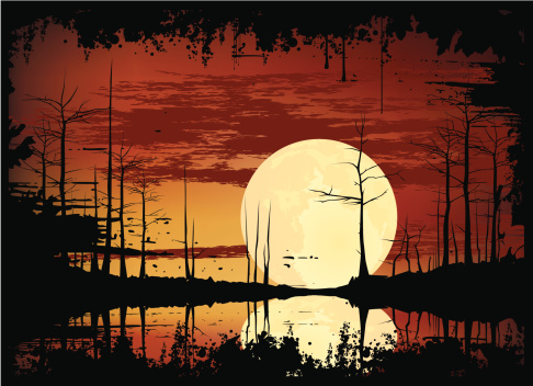 Swamp Sunset Stock Illustration - Download Image Now - iStock