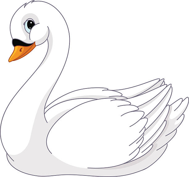 Swan Image of swan on white background swan stock illustrations