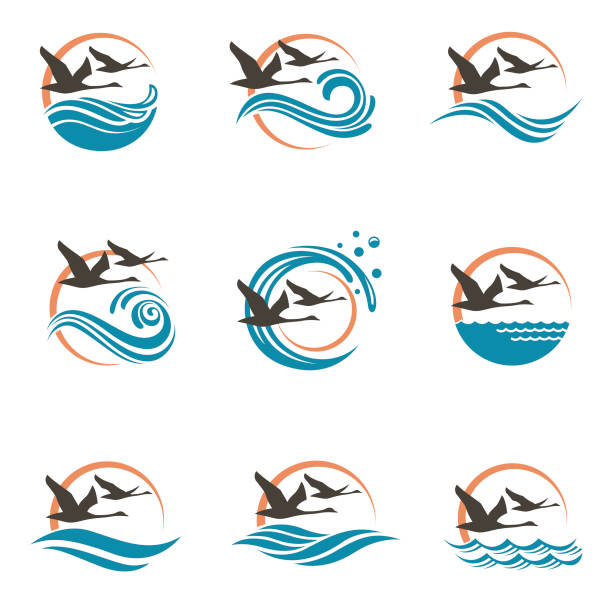 swans and waves icons abstract icon collection with swans, sun and waves river icons stock illustrations