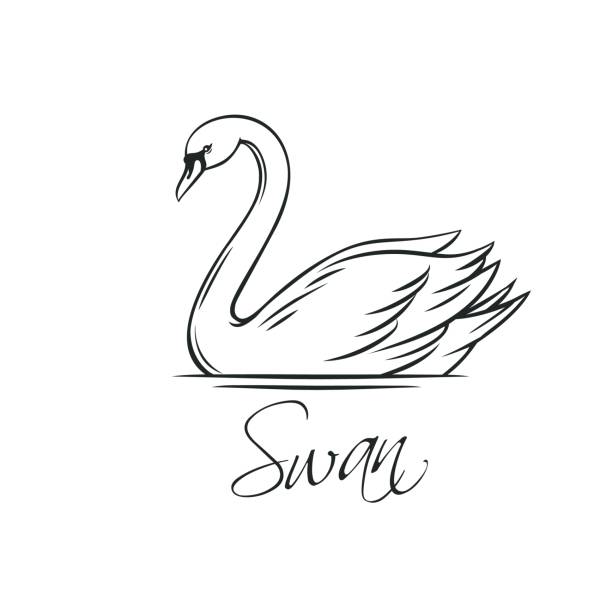 Swans outline icon. Swans outline icon. Romantic bird for wedding invitation design. Vector illustration, isolated on white. swan stock illustrations