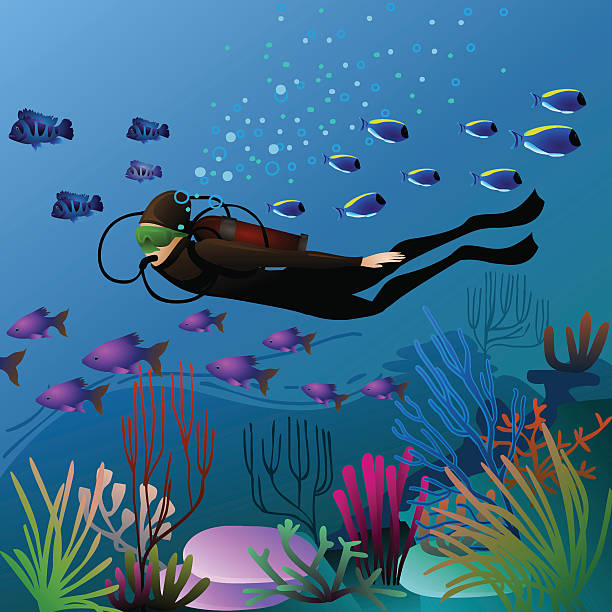 swimming diver vector art illustration