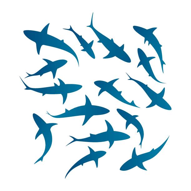 Swimming sharks silhouettes Vector silhouettes of fifteen swimming sharks. shark stock illustrations