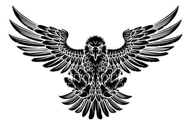 103 Eagel Stock Photos Pictures Royalty Free Images Istock 103 Eagel Stock Photos Pictures Royalty Free Images Istock