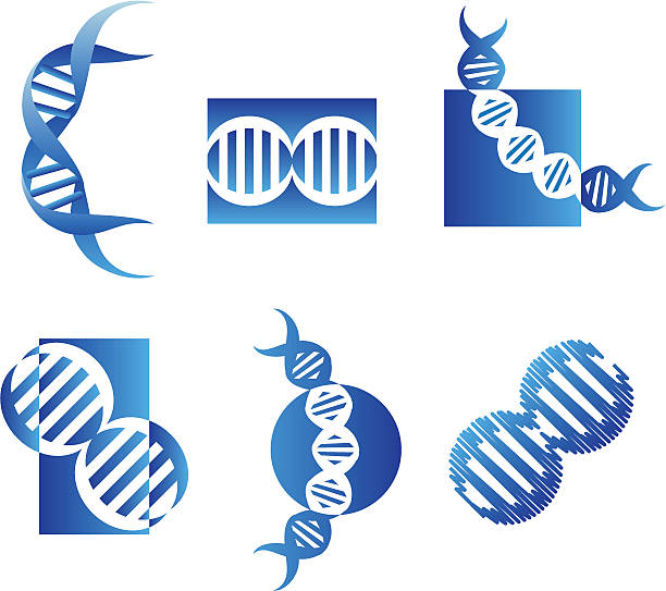 DNA symbols  2 -  vector vector art illustration