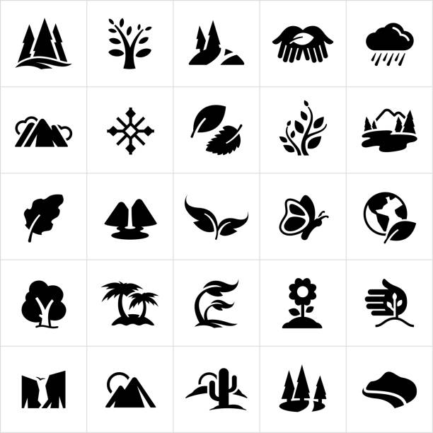 A set of common nature symbols. The icons include trees, mountains, leaves, rain, snow flake, plants, lakes, waterfall, butterfly, planet earth, palm trees, growth, flower, sprout, cliffs, canyons, sun, cactus and coast line to name a few.