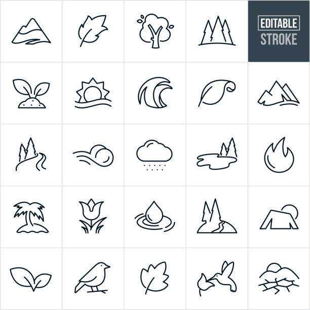 Symbols of Nature Thin Line Icons - Editable Stroke A set nature symbols that include editable strokes or outlines using the EPS vector file. The icons include mountains, leafs, trees, pine trees, plants, plants growing in soil, sunrise over water, wave, river, wind, snow cloud, lake, flame, palm tree, flower, water droplet, water, hiking trail, bird, humming bird, drought and other related icons. river icons stock illustrations