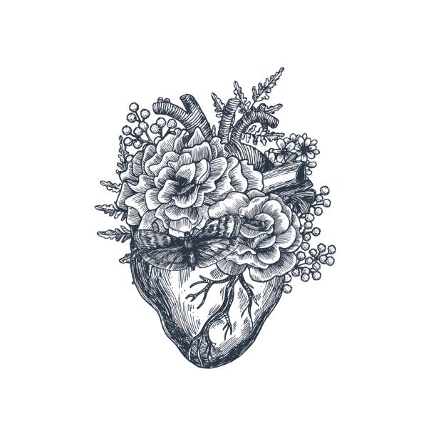 Tattoo anatomy vintage illustration. Floral anatomical heart. Vector illustration Vector illustration flowers tattoos stock illustrations