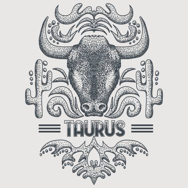 Taurus zodiac vintage vector illustration Taurus zodiac vintage vector illustration for your company or brand drawing of the bull head tattoo designs stock illustrations