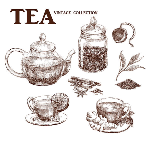 illustrations, cliparts, dessins animés et icônes de ensemble de thé dessiné à la main - hand draw jar