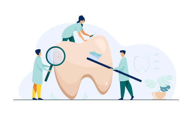 bildbanksillustrationer, clip art samt tecknat material och ikoner med team av tandläkare ta hand om tänder - kvinna borstar tänderna