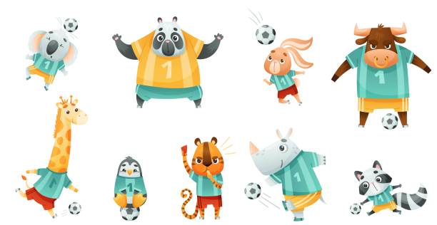 illustrations, cliparts, dessins animés et icônes de équipe d’animaux sauvages jouant au football. mignon rhinocéros, pingouin, lapin, ballon, tigre, koala mascottes de football en uniforme de sport dessin animé vectoriel illustration - panda foot