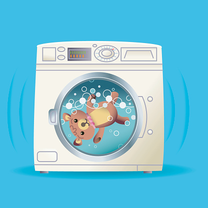 Teddy in the washing machine
