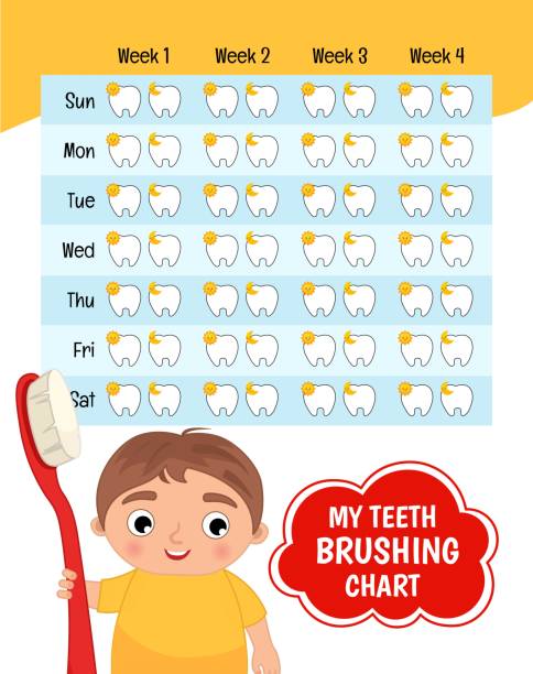 Teeth brushing chart. vector art illustration