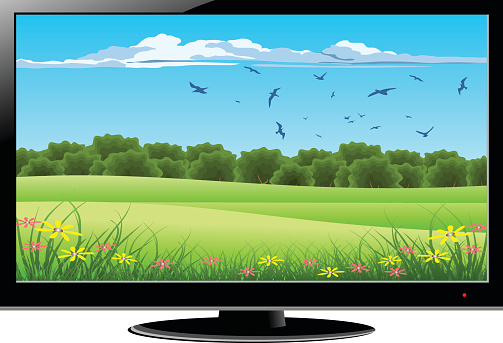 LCD Television With Green Nature on Screen