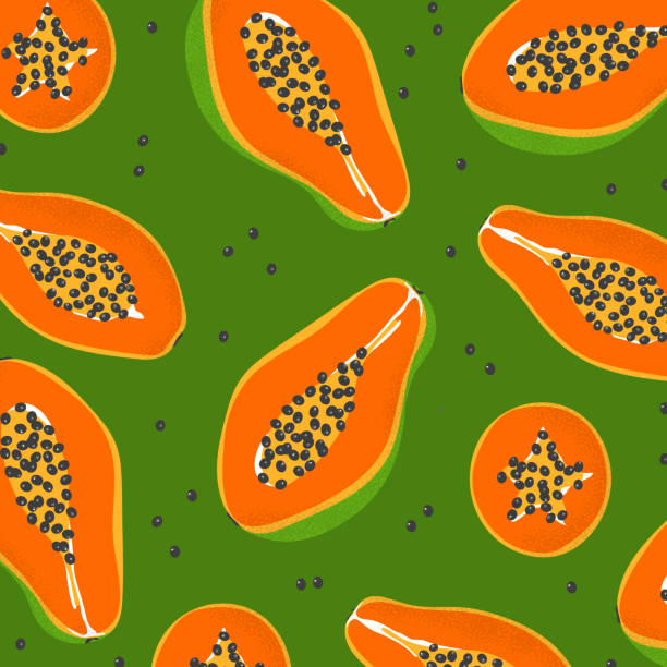 Template card with tropical exotic papaya vector art illustration