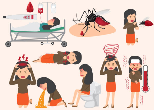 Template design of details dengue fever or flu and symptoms with prevention infographics. people sick that have dengue fever and flu health and medicine cartoon vector illustration. vector art illustration