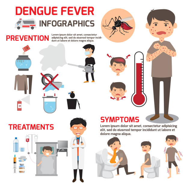 stockillustraties, clipart, cartoons en iconen met sjabloon ontwerpen van details denguekoorts of griep en symptomen met preventie infographics. gezondheidszorg cartoon vectorillustratie. - malaria