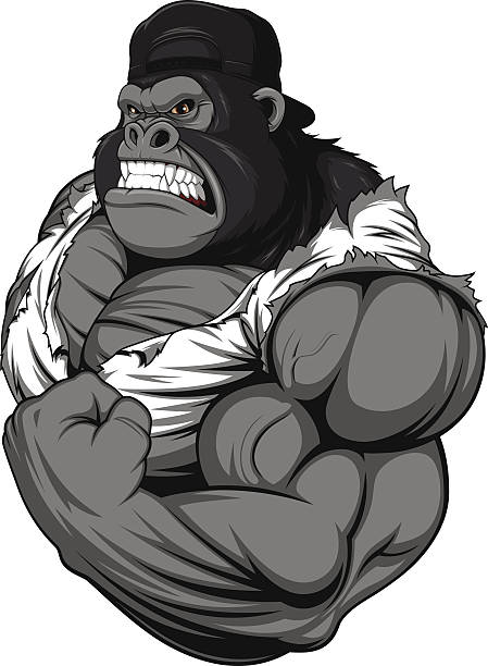 Terrible gorilla athlete Vector illustration, terrible gorilla professional athlete, on a white background gorilla stock illustrations