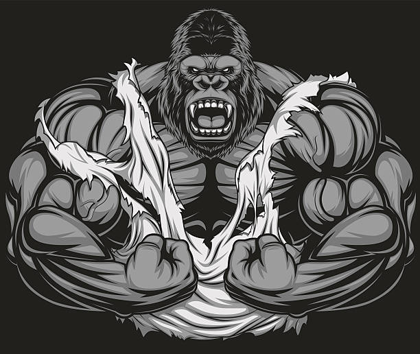 Terrible gorilla athlete Vector illustration, ferocious gorilla bodybuilder shows his big biceps gorilla stock illustrations