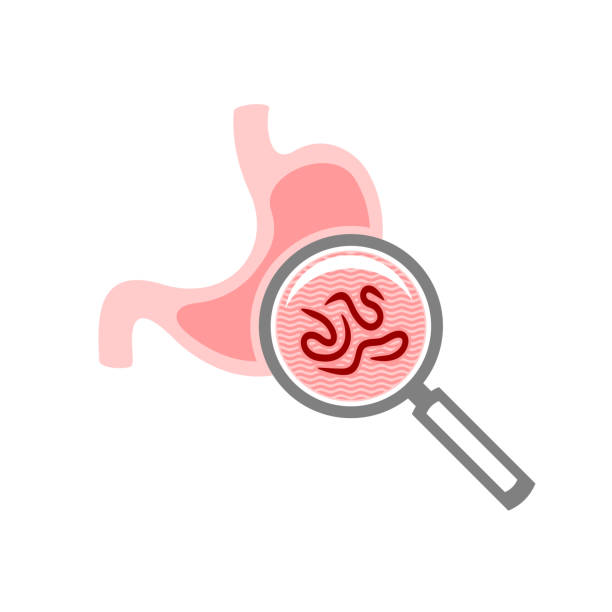 Test for stomach parasites symbol. Magnify glass. Test for stomach parasites symbol. Magnify glass examine stomach to find worms or other bad lifeforms. nematode worm stock illustrations