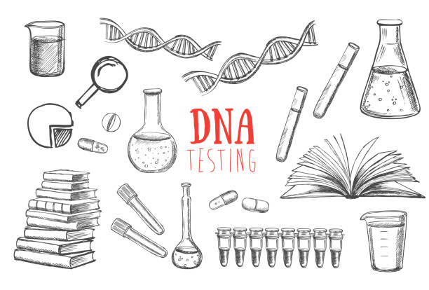 DNA testing. Medicinal laboratory. Hand drawn illustration. DNA testing. Medicinal laboratory. Hand drawn illustration. dna drawings stock illustrations