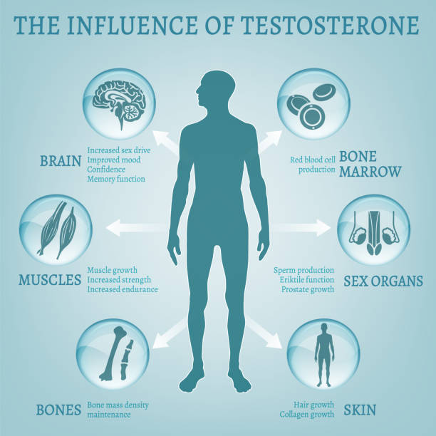 testosterone benefits