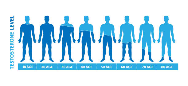 Testosterone levels decrease with age