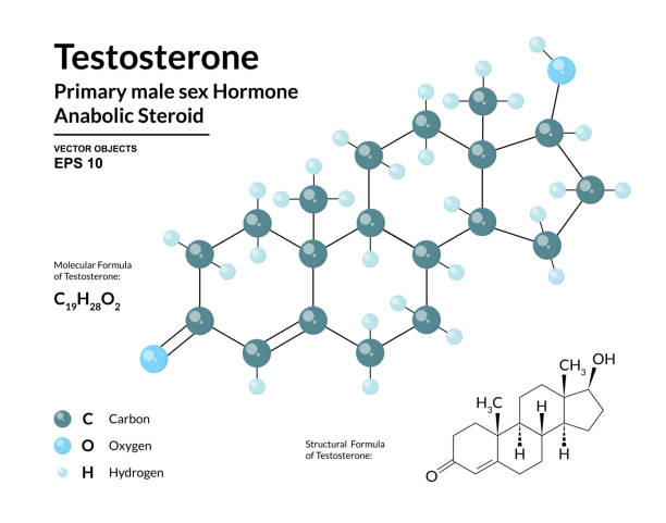 Testosterone molecule structure - foods to boost testosterone levels naturally