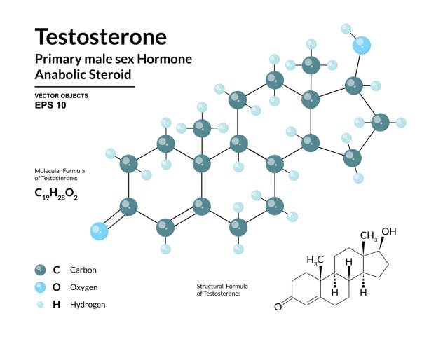 Testosterone molecule