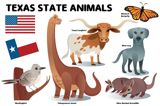 Texas Btate Animals,