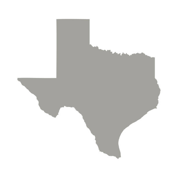 ilustrações de stock, clip art, desenhos animados e ícones de texas state map vector - texas