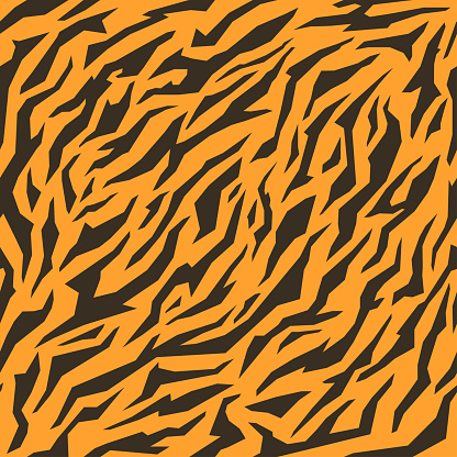 Texture Of Bengal Tiger Fur Orange Stripes Pattern Animal Skin Print ...