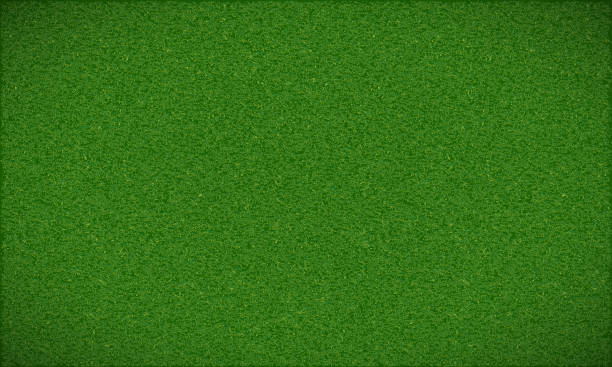 illustrazioni stock, clip art, cartoni animati e icone di tendenza di texture di erba verde sul campo da calcio - alpeggio
