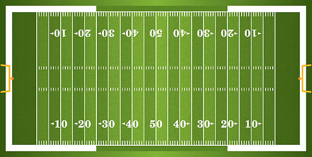 Textured Grass American Football Field A vector grass textured American football field. EPS 10. File contains transparencies.  american football field stadium stock illustrations