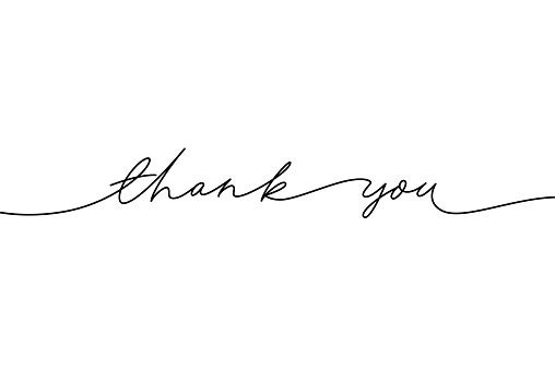 Thank you hand drawn vector modern calligraphy. Thank you handwritten ink illustration.