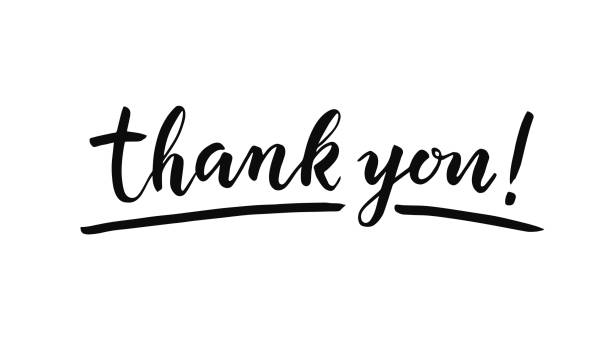 Thank you lettering on white background. Hand drawn inscription Thank you lettering on white background. Hand drawn inscription thank you stock illustrations