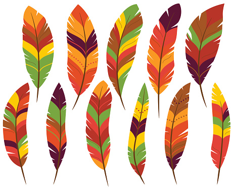 Thanksgiving or Fall Colored Feathers
