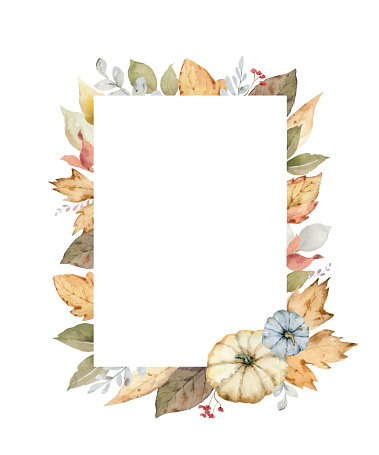 Thanksgiving vector frame colorful pumpkins with autumn leaves and flowers. Watercolor card for thanks giving day isolated on a white background.