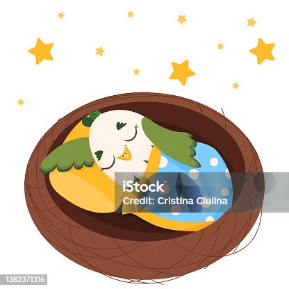 istock The bird sleeps sweetly in the nest. Vector illustration on a white background. Premium vector. 1382371316