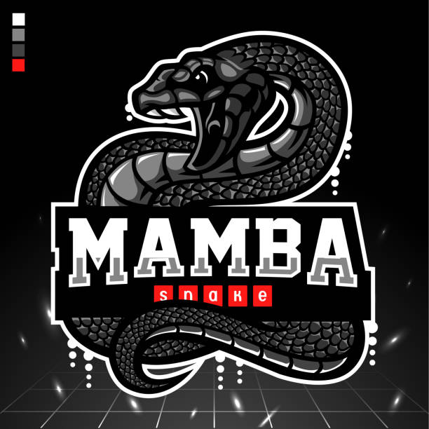The black mamba mascot. esport logo design The black mamba mascot. esport logo design snake head stock illustrations