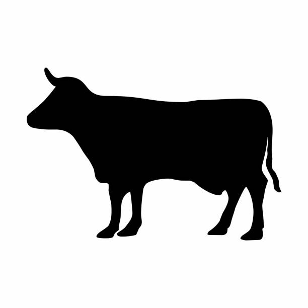 ilustrações, clipart, desenhos animados e ícones de o ícone do gado - gado brasil