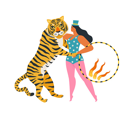 The circus tiger dancing with the woman holding a fiery ring. Enjoy the show. Illustration on white background