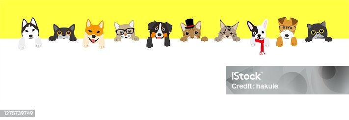 istock The cute cats and dogs lining up 1275739749