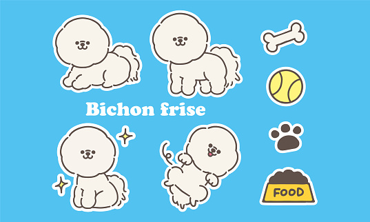 The dog breed is Bichon Frize. Illustration set. Dog food and paws.(white edge)